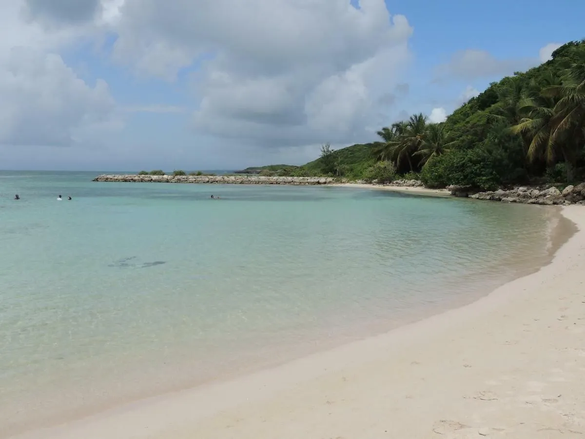 Apt Les Oiseaux Du Paradis 30M De La Plage Vue Mer Saint-Francois  Saint-Francois (Grande-Terre)